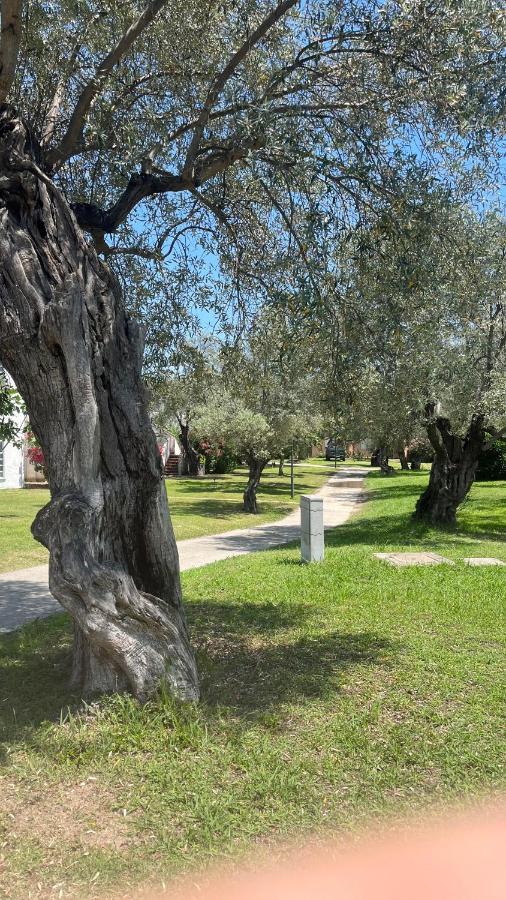 L'Isola Dei Vacanzieri Sant'Andrea Apostolo dello Ionio Dış mekan fotoğraf