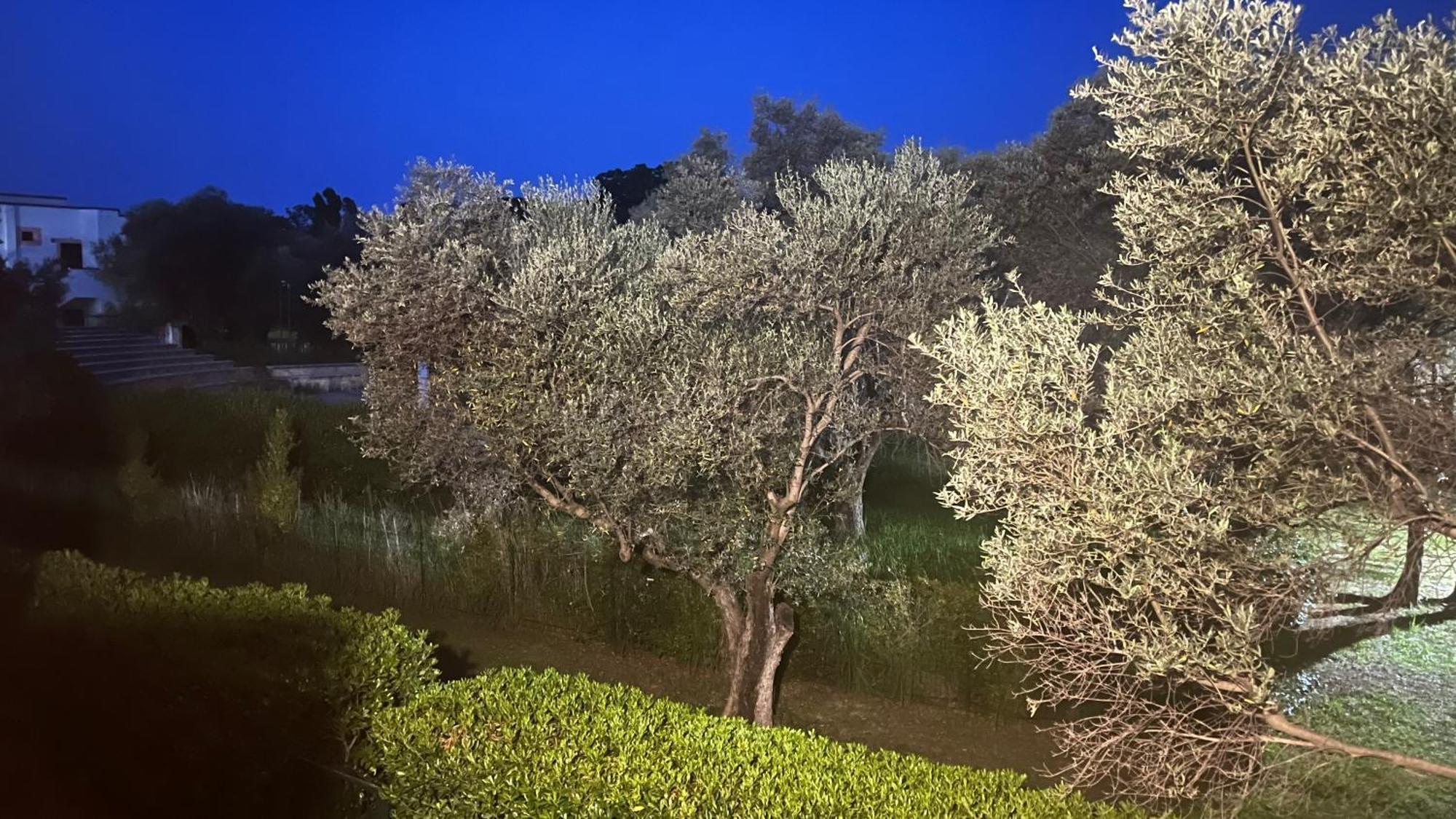 L'Isola Dei Vacanzieri Sant'Andrea Apostolo dello Ionio Dış mekan fotoğraf